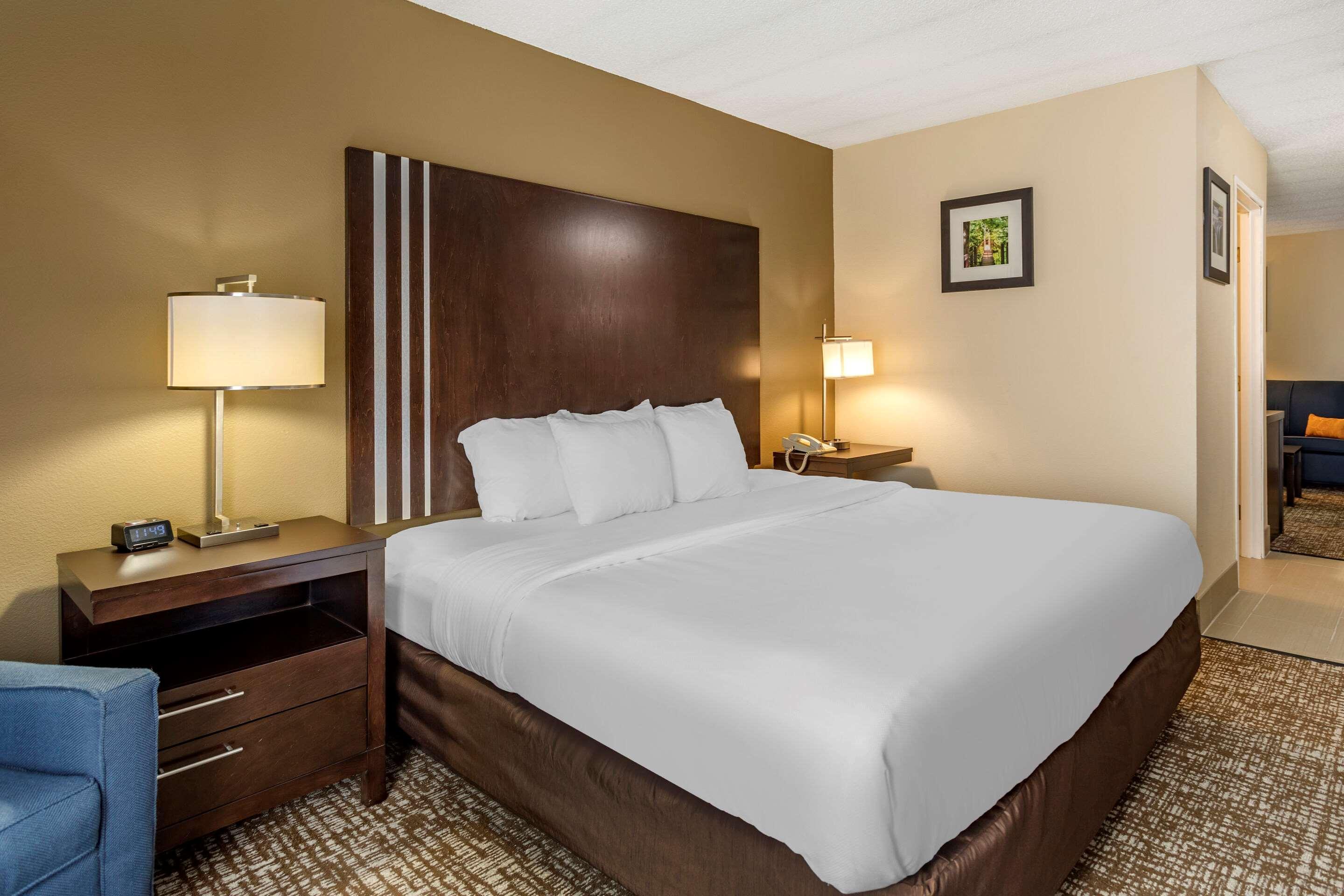 Comfort Inn Paducah I-24 מראה חיצוני תמונה
